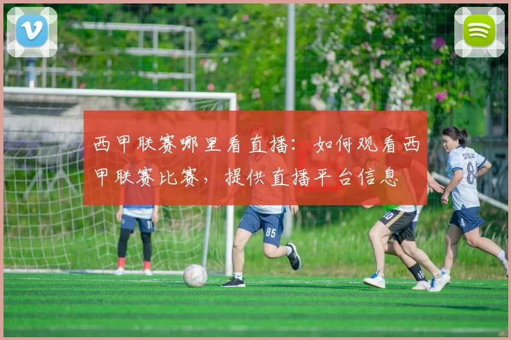 西甲联赛哪里看直播：如何观看西甲联赛比赛，提供直播平台信息