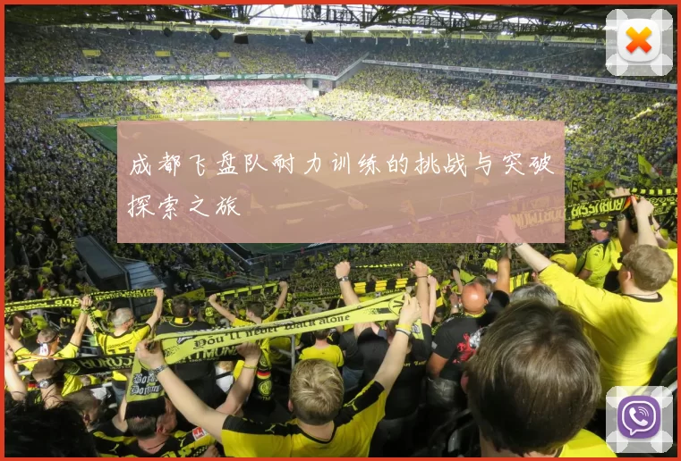 成都飞盘队耐力训练的挑战与突破探索之旅