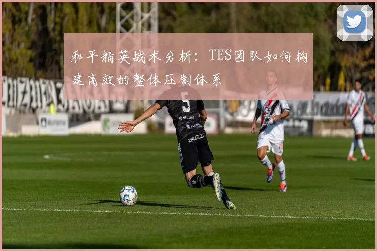 和平精英战术分析：TES团队如何构建高效的整体压制体系