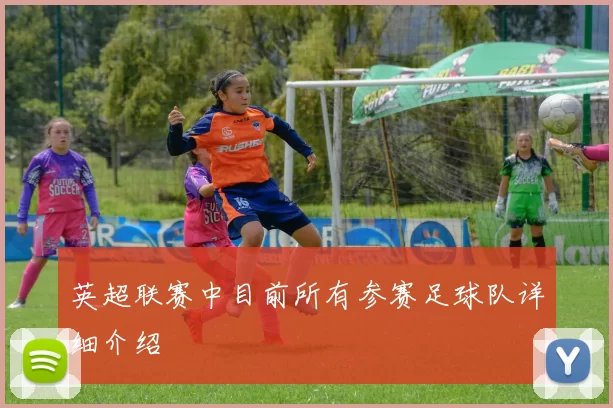 英超联赛中目前所有参赛足球队详细介绍