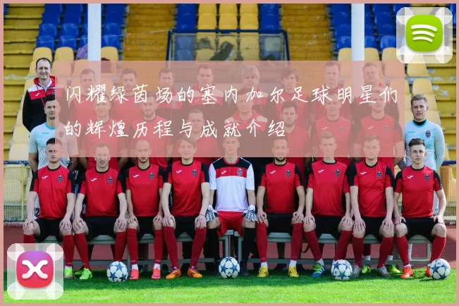 闪耀绿茵场的塞内加尔足球明星们的辉煌历程与成就介绍