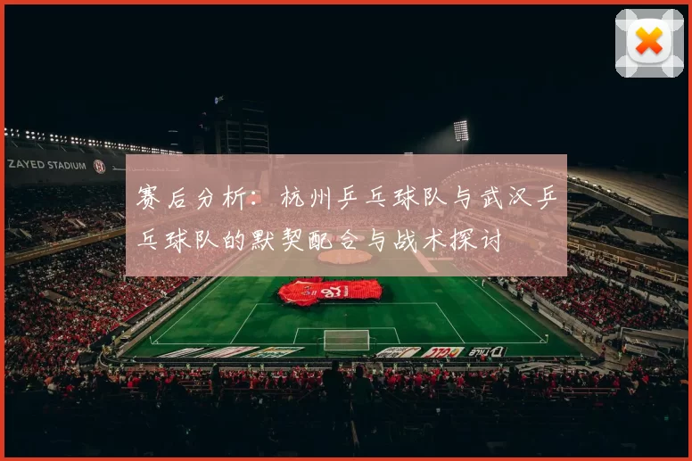 赛后分析：杭州乒乓球队与武汉乒乓球队的默契配合与战术探讨