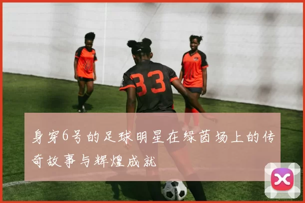 身穿6号的足球明星在绿茵场上的传奇故事与辉煌成就