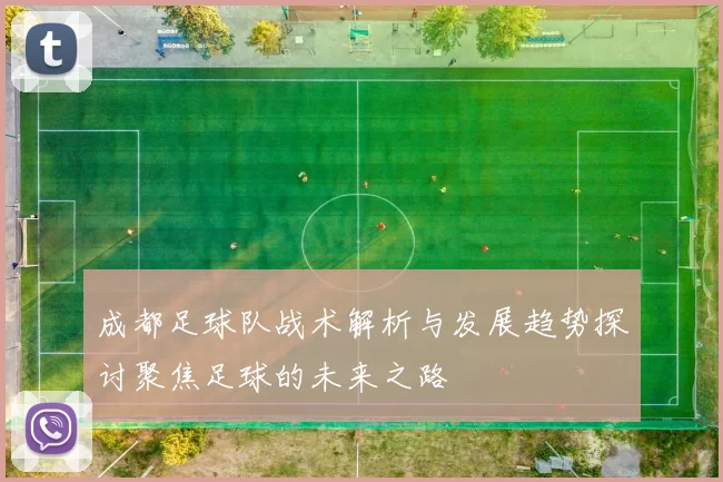 成都足球队战术解析与发展趋势探讨聚焦足球的未来之路