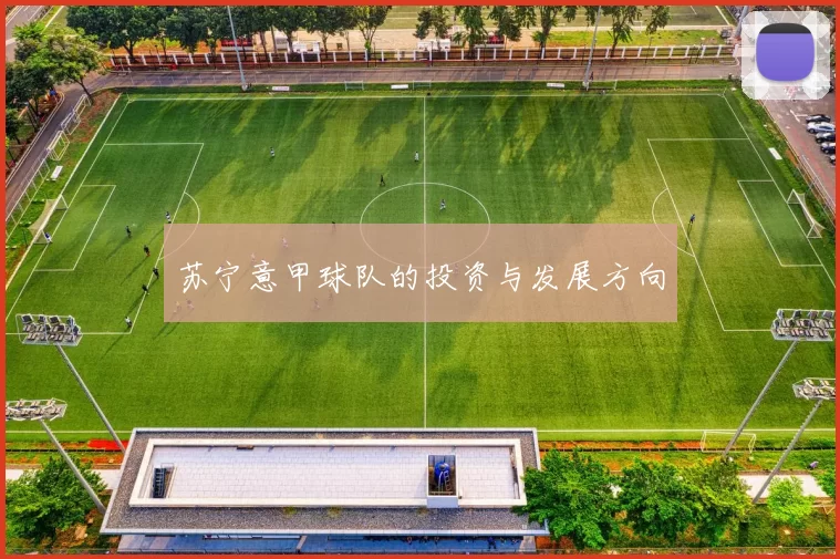 苏宁意甲球队的投资与发展方向