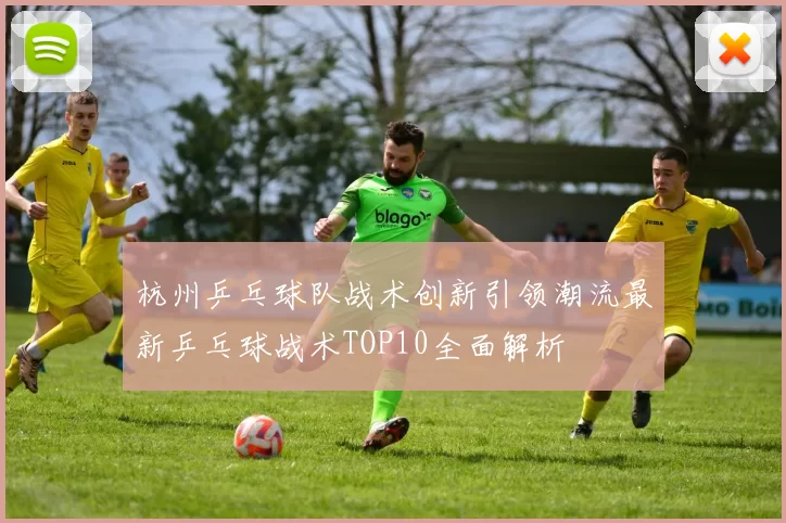 杭州乒乓球队战术创新引领潮流最新乒乓球战术TOP10全面解析