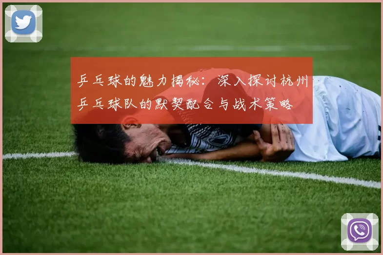 乒乓球的魅力揭秘：深入探讨杭州乒乓球队的默契配合与战术策略