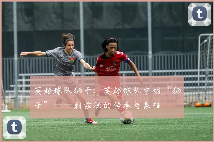 英超球队狮子：英超球队中的“狮子”——利兹联的传承与象征