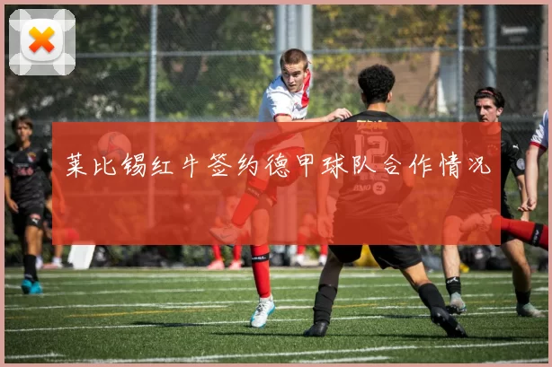 莱比锡红牛签约德甲球队合作情况