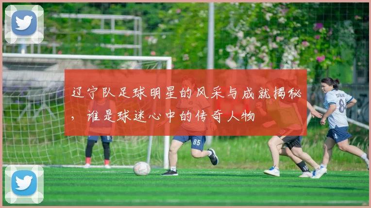 辽宁队足球明星的风采与成就揭秘，谁是球迷心中的传奇人物