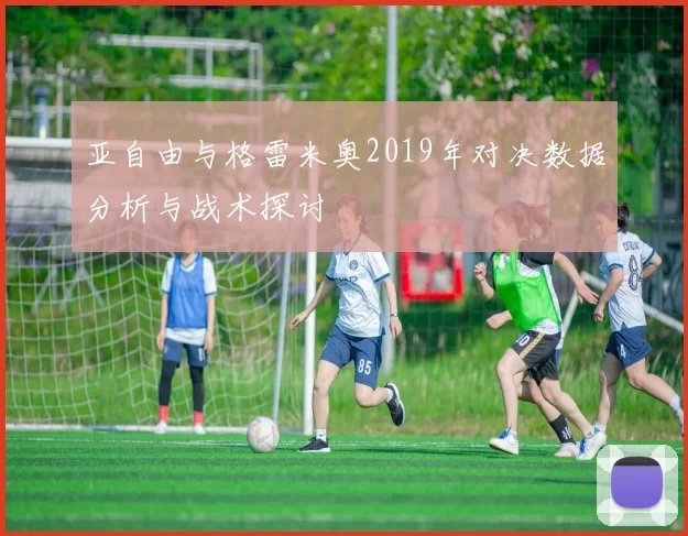 亚自由与格雷米奥2019年对决数据分析与战术探讨