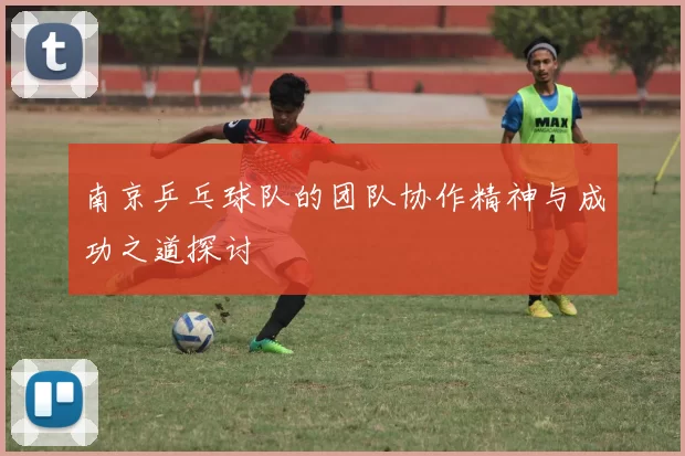 南京乒乓球队的团队协作精神与成功之道探讨
