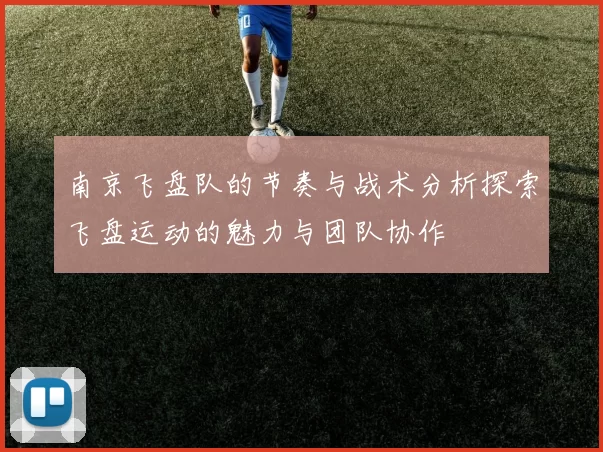 南京飞盘队的节奏与战术分析探索飞盘运动的魅力与团队协作