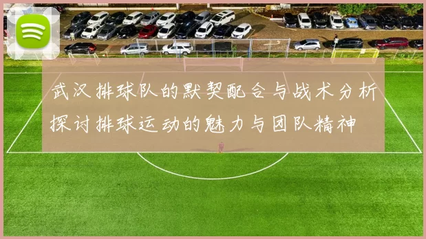 武汉排球队的默契配合与战术分析探讨排球运动的魅力与团队精神