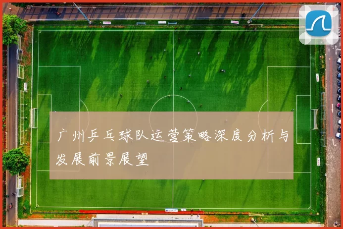 广州乒乓球队运营策略深度分析与发展前景展望