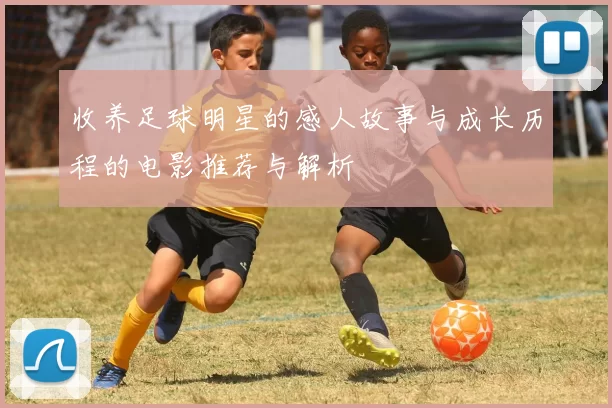 收养足球明星的感人故事与成长历程的电影推荐与解析