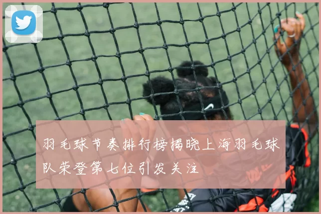 羽毛球节奏排行榜揭晓上海羽毛球队荣登第七位引发关注