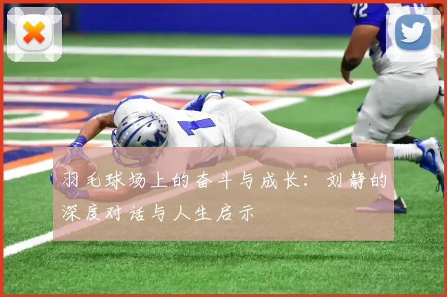 羽毛球场上的奋斗与成长：刘静的深度对话与人生启示