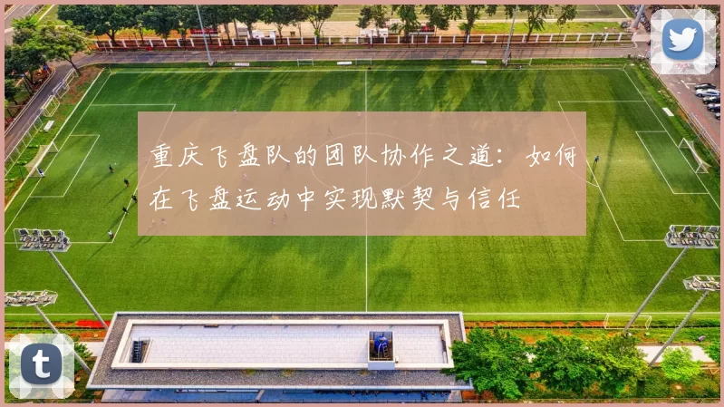 重庆飞盘队的团队协作之道：如何在飞盘运动中实现默契与信任
