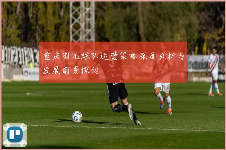 重庆羽毛球队运营策略深度分析与发展前景探讨