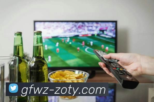 zoty中欧发展历程